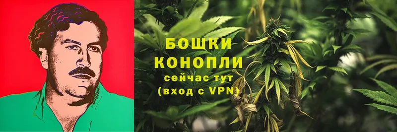 Каннабис Bruce Banner  наркота  Горно-Алтайск 